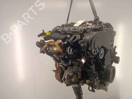 Engine AUDI A5 (8T3) 2.0 TDI | BP36097929M1 - Image 5