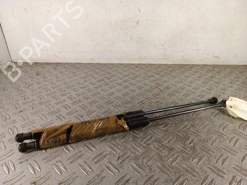 Used Tailgate lift support Tailgate lift support CITROËN C3 III (SX) 1.2 PureTech 82 (83 hp) 34315511 34315511