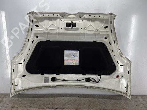 hood-fiat-doblo-cargo-263_-2010-34316946 main image