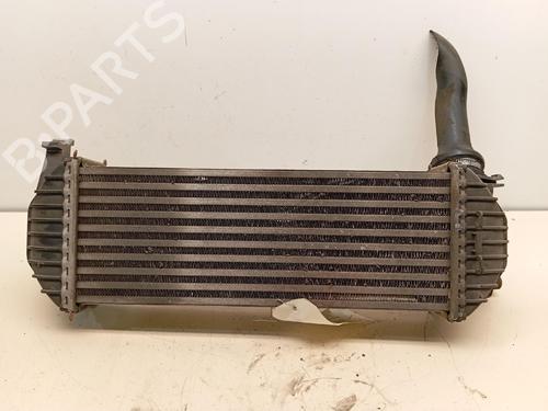 Intercooler RENAULT KANGOO Express (FW0/1_) | BP36915268M30 - Image 2