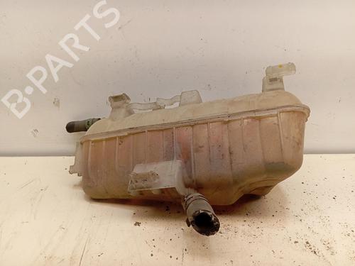expansion-tank-renault-kangoo-express-fw01_-2008-36915269 main image