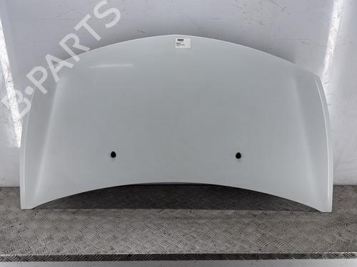 Capot Capot RENAULT CLIO III (BR0/1, CR0/1) 1.5 dCi (75 hp) 34316875 34316875