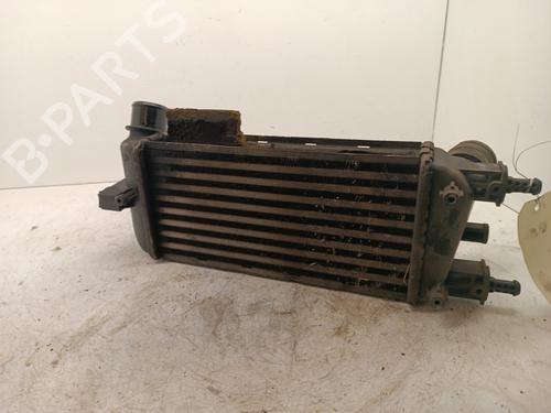 Used Intercooler Intercooler FIAT 500 (312_) 1.3 D Multijet (312AXB1A) (75 hp) 34309901 34309901