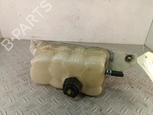 expansion-tank-nissan-juke-f15-2010-2011-2012-2013-2014-2015-2016-2017-2018-2019-34317766 main image
