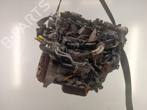 Motor Motor PEUGEOT 308 I (4A_, 4C_) [2007-2016] 36416196 36416196