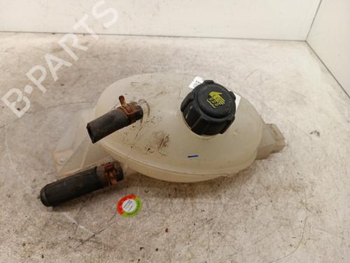 expansion-tank-renault-master-iii-van-fv-2010-34308222 main image