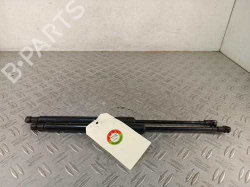 tailgate-lift-support-renault-twingo-ii-cn0_-2007-34646544 main image