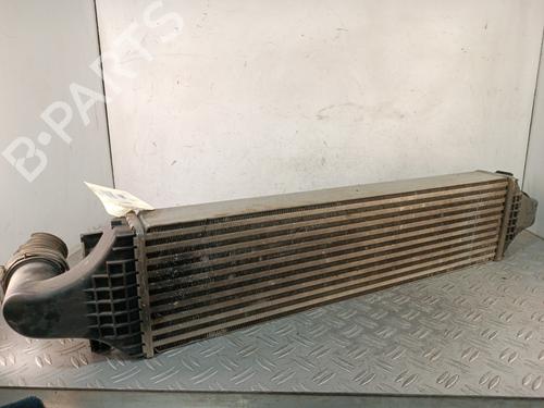 Used Intercooler Intercooler MERCEDES-BENZ A-CLASS (W176) A 220 CDI (176.003) (170 hp) 34318817 34318817