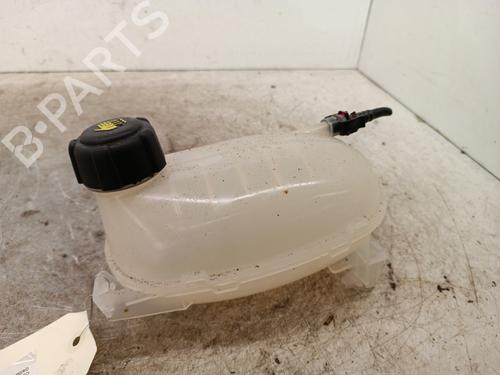 Ekspansjonstank RENAULT CLIO V (B7_) 1.0 TCe 90 (B7MT) | BP37738685C120 - Image 2