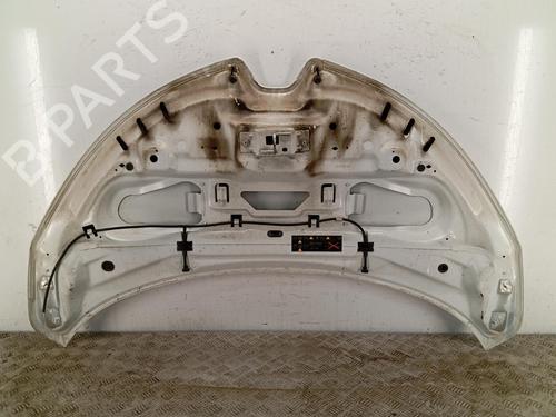hood-renault-zoe-bfm_-2012-36790627 main image