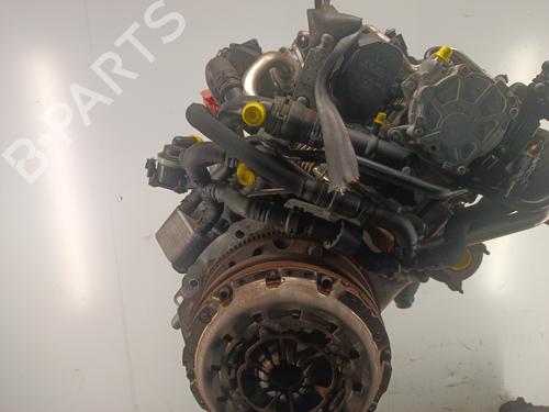 Used Engine Engine AUDI A5 (8T3) 2.0 TDI (170 hp) 36097929 36097929