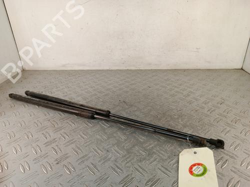 Used Tailgate lift support Tailgate lift support RENAULT KOLEOS I (HY_) 2.0 dCi 4x4 (HY0K) (150 hp) 34319294 34319294