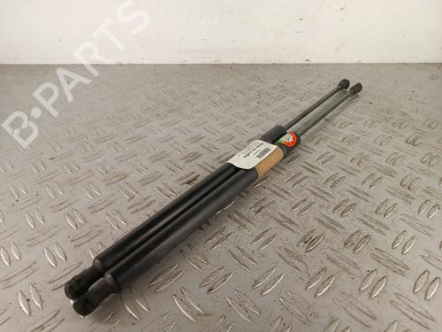 Used Tailgate lift support Tailgate lift support RENAULT SCÉNIC III (JZ0/1_) 1.5 dCi (110 hp) 34310857 34310857