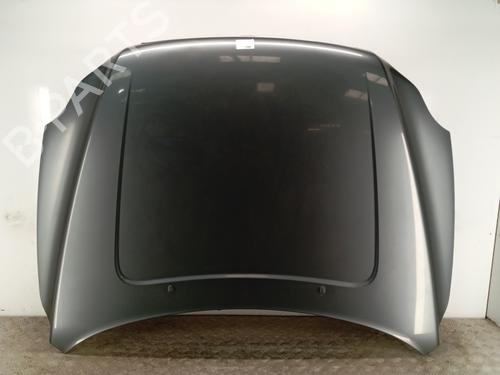 Used Hood Hood VOLVO XC90 I (275) D5 AWD (185 hp) 34319379 34319379