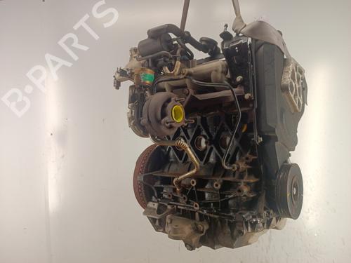 Engine RENAULT MEGANE II (BM0/1_, CM0/1_)  | BP34317543M1  - Image 7