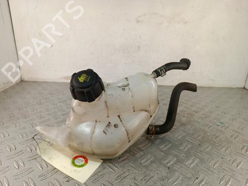 Ekpansionstank Ekpansionstank NISSAN QASHQAI II (J11, J11_) 1.2 DIG-T (115 hp) 34318127 34318127