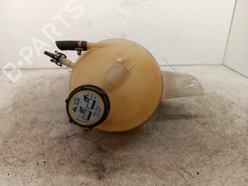 Vaschetta di espansione Vaschetta di espansione FORD TRANSIT CUSTOM V362 Van (FY, FZ) 2.0 EcoBlue (130 hp) 34308931 34308931