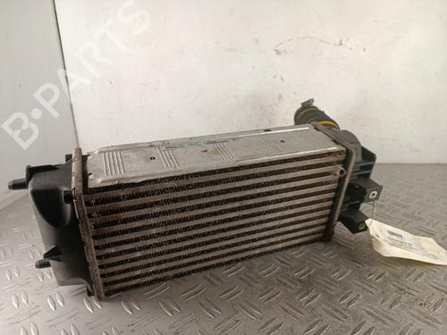 Intercooler Intercooler PEUGEOT 3008 I MPV (0U_) 1.2 (131 hp) 34316349 34316349
