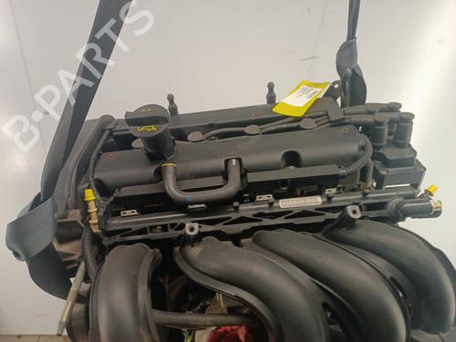 Engine FORD FUSION (JU_) 1.6 | BP34314706M1 - Image 4