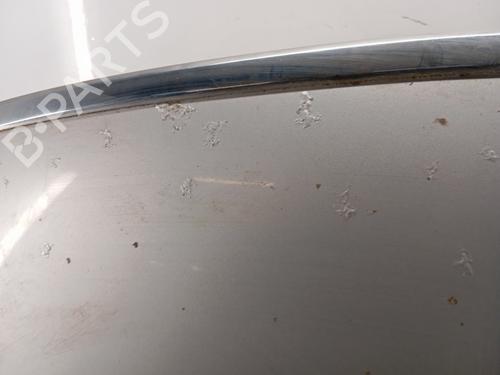 Used Hood Hood CITROËN C6 (TD_) 2.7 HDi (204 hp) 34317104 34317104