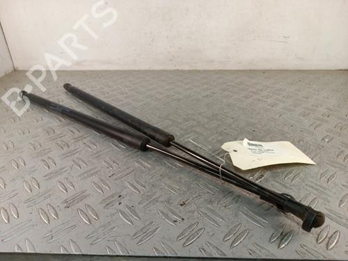 Used Tailgate lift support Tailgate lift support VOLVO XC60 I SUV (156) 2.4 D / D3 / D4 AWD (163 hp) 34319688 34319688