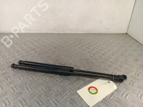 tailgate-lift-support-renault-twingo-ii-cn0_-2007-34320016 main image
