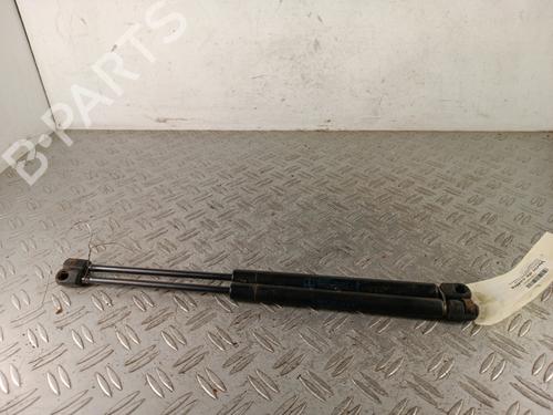Used Tailgate lift support Tailgate lift support RENAULT CLIO II (BB_, CB_) 1.2 (BB0A, BB0F, BB10, BB1K, BB28, BB2D, BB2H, CB0A,... (58 hp) 34317285 34317285