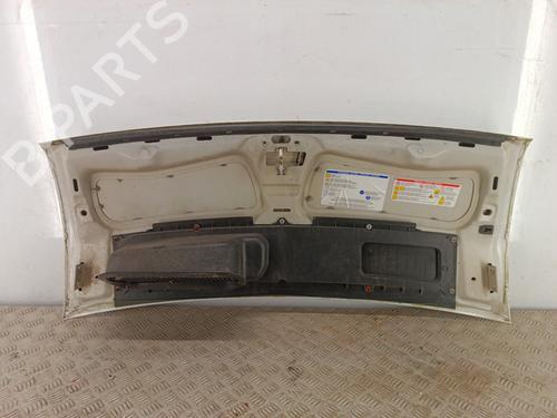 Used Hood Hood PEUGEOT BOXER Platform/Chassis 2.2 HDi 110 (110 hp) 34312315 34312315