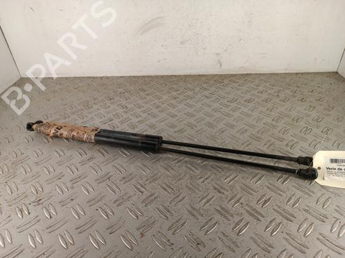 Used Tailgate lift support Tailgate lift support DACIA LOGAN MCV II 1.0 SCe 75 (73 hp) 34311856 34311856