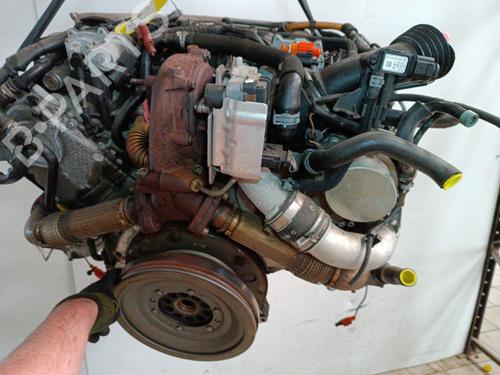 Used Engine Engine AUDI Q5 (8RB) 3.0 TDI quattro (240 hp) 34308364 34308364