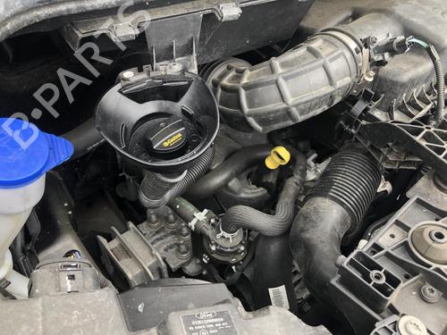 Brugte FORD TRANSIT CUSTOM V362 Van (FY, FZ)  2.0 EcoBlue  4625900