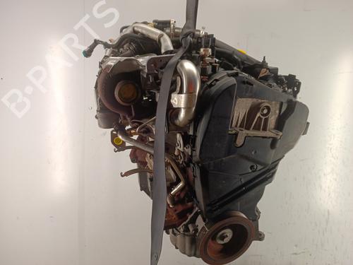 Used Engine Engine NISSAN JUKE (F15) 1.5 dCi (110 hp) 34317791 34317791