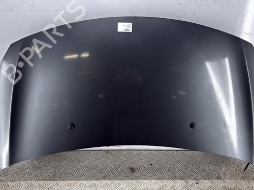 hood-citroen-c3-ii-sc_-2009-34317454 main image