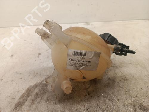 expansion-tank-citroen-c3-ii-sc_-2009-34309263 main image