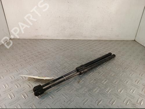 tailgate-lift-support-renault-megane-iii-hatchback-bz01_-b3_-2008-38079883 main image
