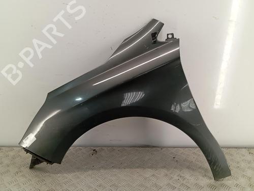left-front-fenders-citroen-c4-ii-nc_-2009-38722425 main image