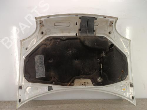 Used Hood Hood RENAULT KANGOO Express (FC0/1_) D 65 1.9 (FC0E, FC02, FC0J, FC0N) (64 hp) 35934303 35934303