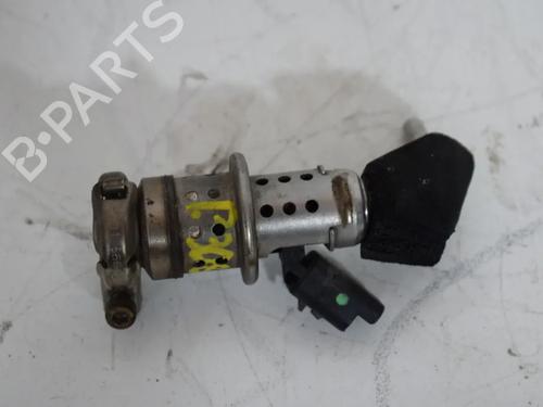 Used Injector Injector PEUGEOT 308 II (LB_, LP_, LW_, LH_, L3_) 1.6 BlueHDi 120 (120 hp) 36137430 36137430