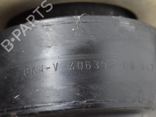 Rear differential FIAT PANDA (169_) 1.3 JTD Multijet 4x4 (169AXG1A, 169AXG2A) | BP40215095M24 - Image 6