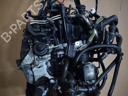 Engine VW TRANSPORTER T5 Van (7HA, 7HH, 7EA, 7EH) | BP36136567M1 - Image 7
