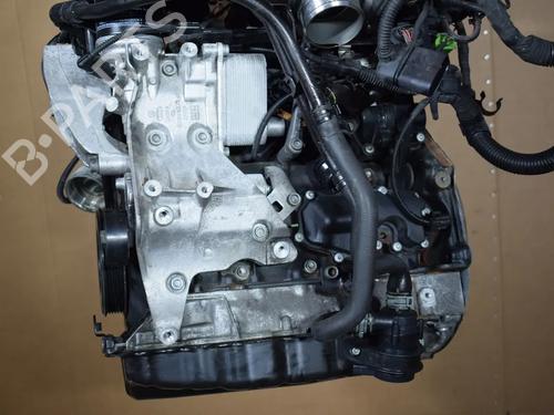 Engine VW TIGUAN (5N_)  | BP36136571M1  - Image 6