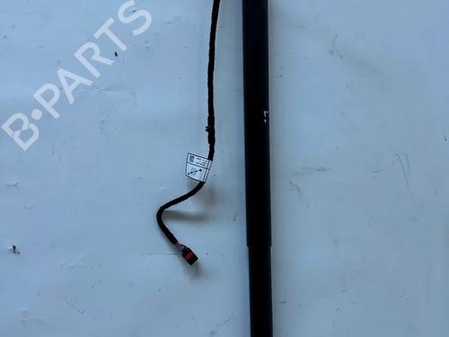 Used Tailgate lift support Tailgate lift support LAND ROVER RANGE ROVER EVOQUE (L551) 2.0 D180 MHEV 4x4 (180 hp) 36133182 36133182