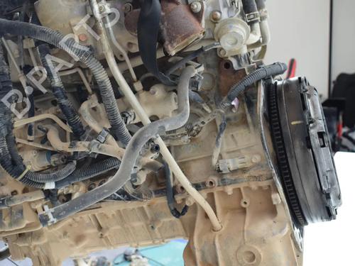 Engine ISUZU D-MAX I (TFR, TFS) 2.5 DiTD 4x4 (TFS86_) | BP36289494M1 - Image 11