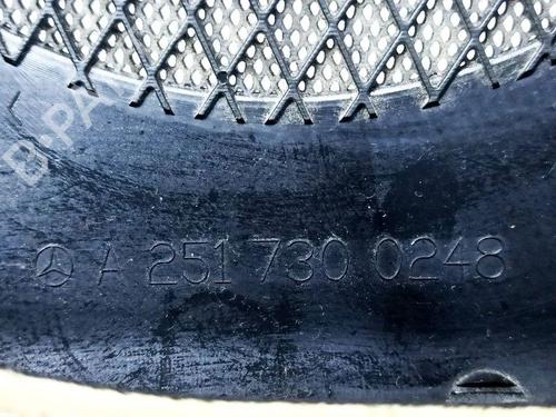 Rear right panel MERCEDES-BENZ R-CLASS (W251, V251) R 350 CDI 4-matic (251.023, 251.123) | BP36268006C61  - Image 17