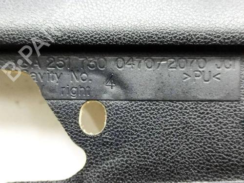 Rear right panel MERCEDES-BENZ R-CLASS (W251, V251) R 350 CDI 4-matic (251.023, 251.123) | BP36268006C61  - Image 19