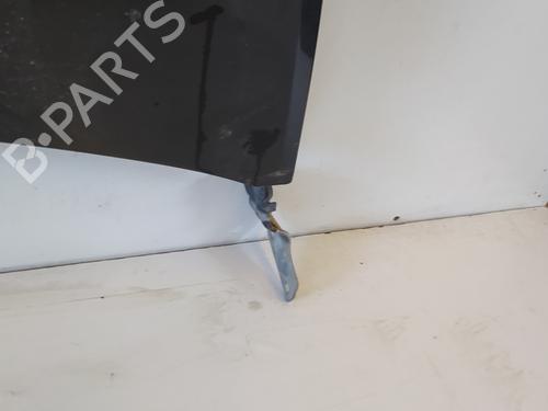 Hood RENAULT CLIO III (BR0/1, CR0/1)  | BP12546319C1 