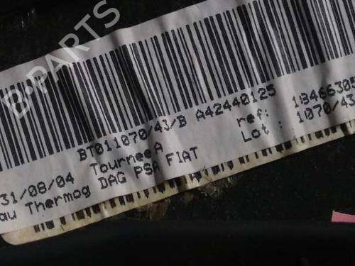 Dashboard FIAT ULYSSE (179_) 2.0 JTD | BP7061451C46 
