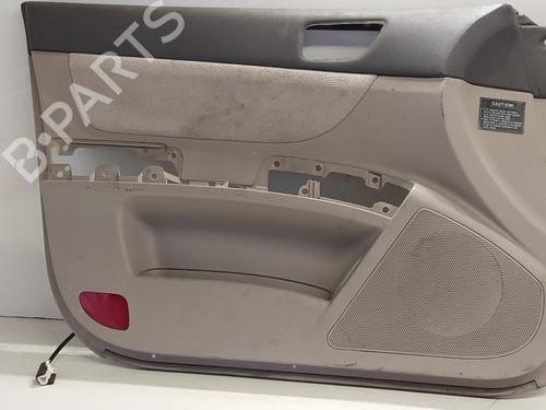 Left front door panel HYUNDAI SONATA V (NF) 2.0 CRDi (140 hp) 17709112