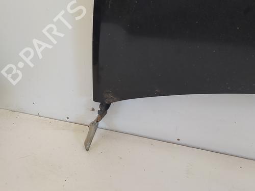 Hood RENAULT CLIO III (BR0/1, CR0/1)  | BP12546319C1 
