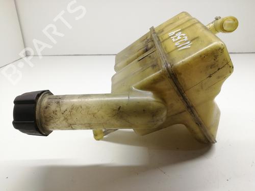 Used Expansion tank RENAULT LAGUNA II (BG0/1_) [2001-2007]  8673320